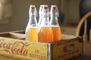 Homemade Fizzy Soda From Scratch - Oakwood Natural Living