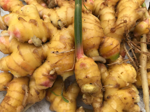 Ginger Root and Lemon for Cold & Flu - Oakwood Natural Living