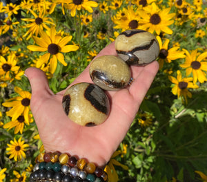 Palm Stones, Crystals & Rocks Collection