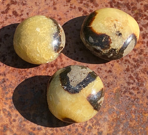 Palm Stones, Crystals & Rocks Collection