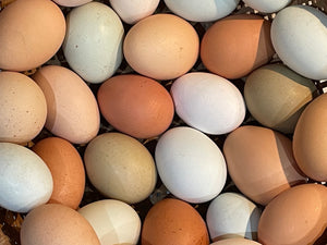 Farm Fresh Eggs