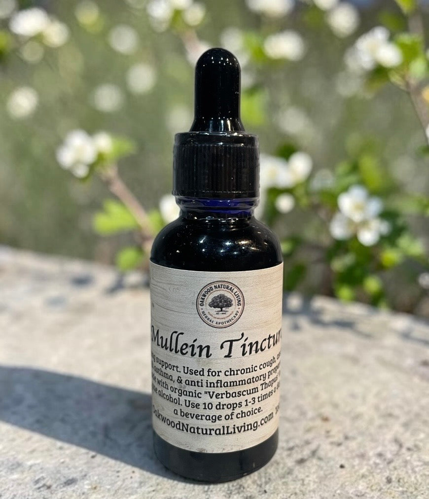 Tincture - Mullein