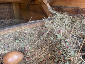 Organic Nesting Herbs