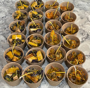 Outdoor Natural Fire Starters