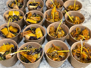 Outdoor Natural Fire Starters