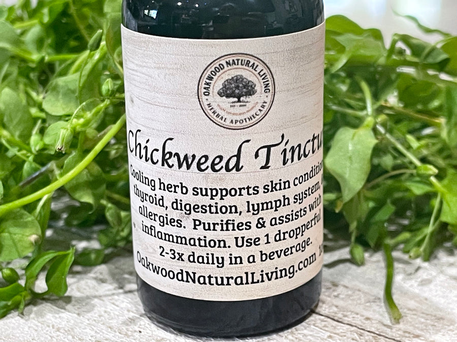 Tincture - Chickweed