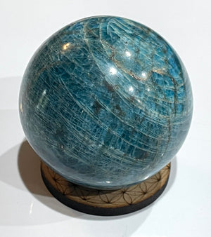 Palm Stones, Crystals & Rocks Collection