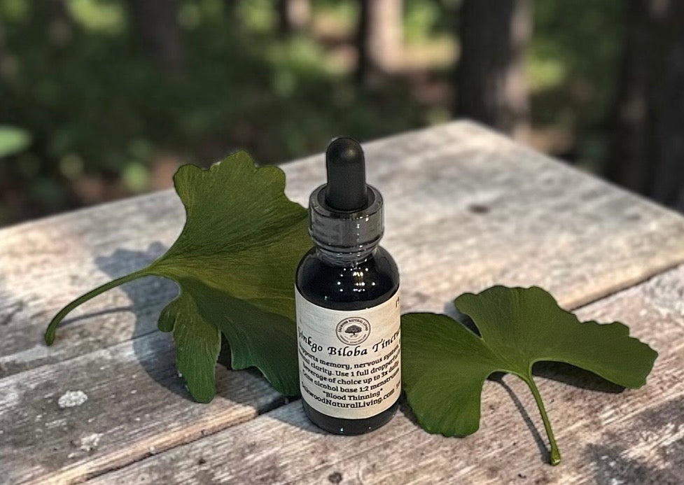 Tincture - Ginkgo biloba