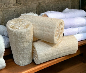 Organic Loofah Sponge