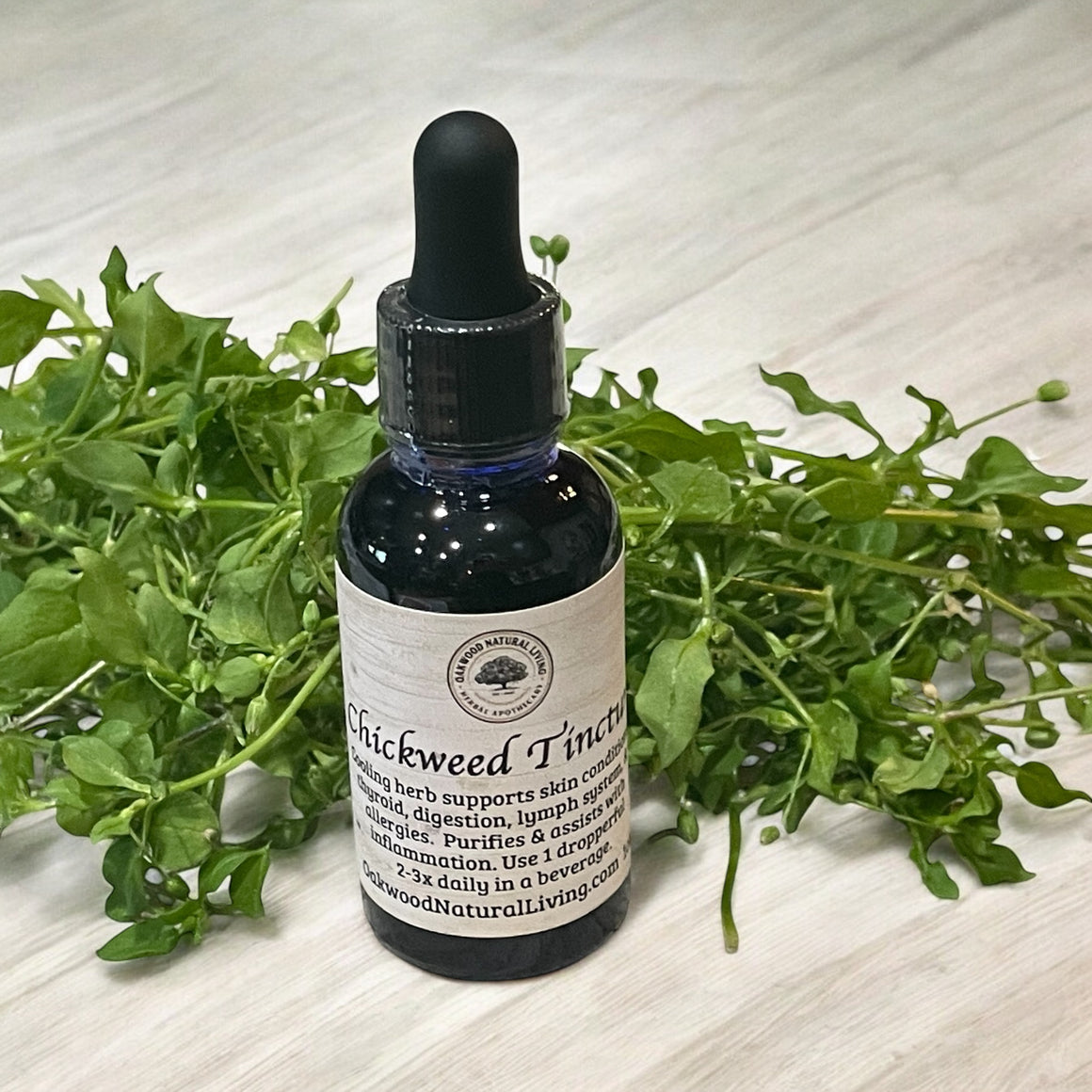 Tincture - Chickweed