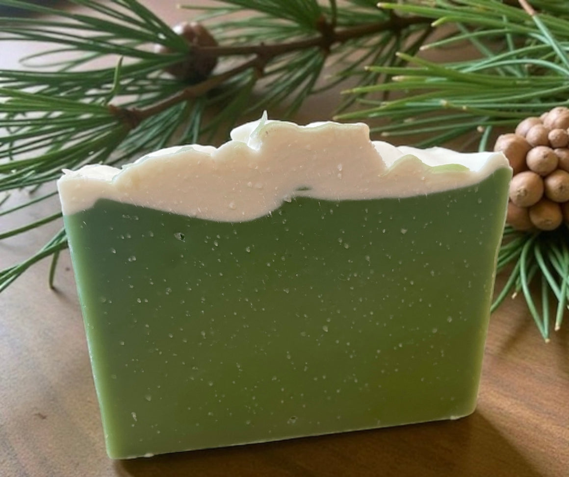 Bar Soap - Winter Pine