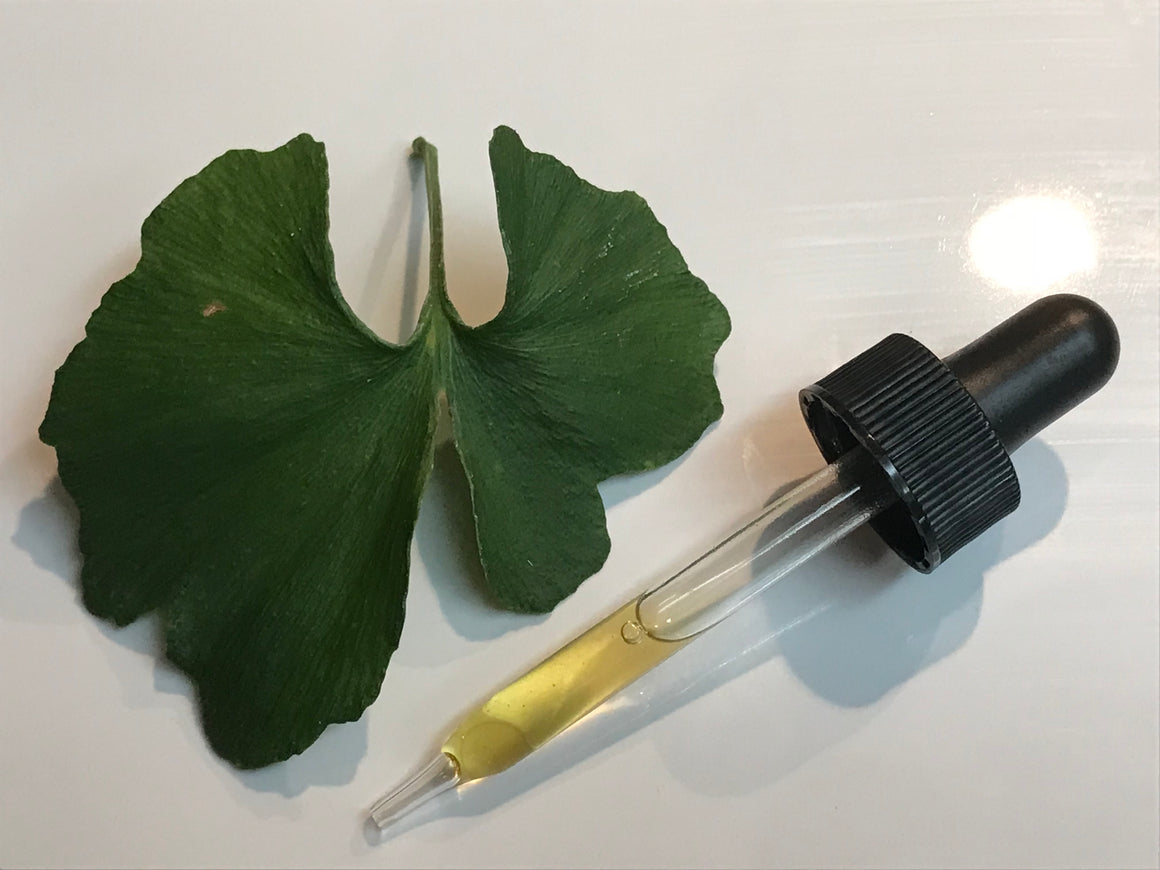 Tincture - Ginkgo biloba - Oakwood Natural Living