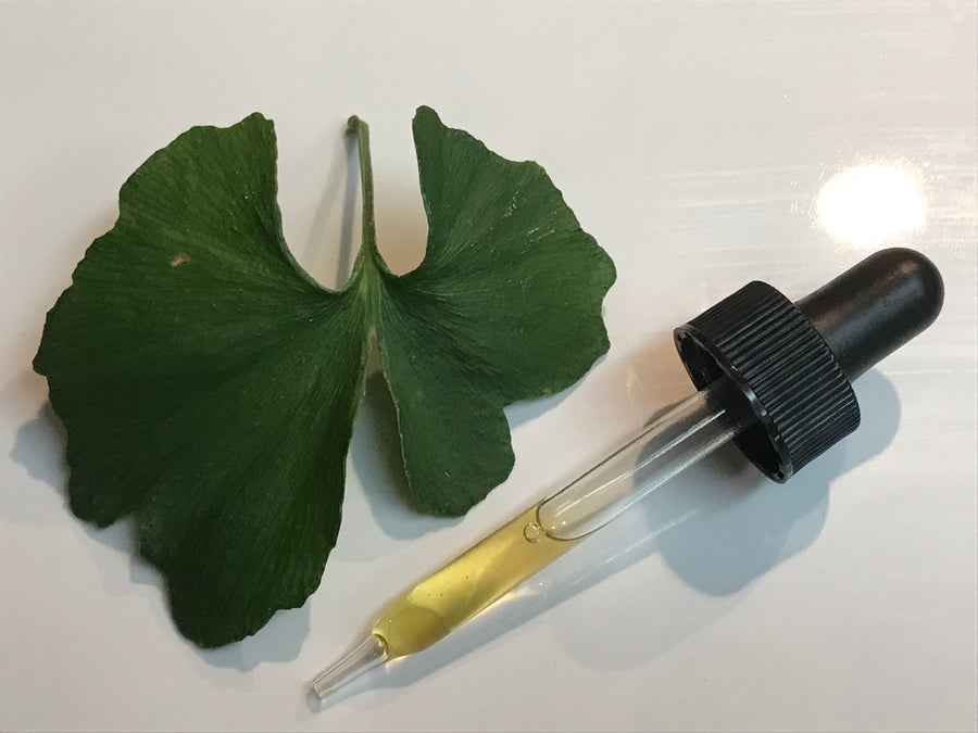 Tincture - Ginkgo biloba