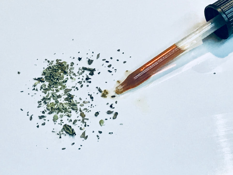 Tincture - Oregano