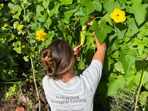 Organic Loofah Sponge - Oakwood Natural Living