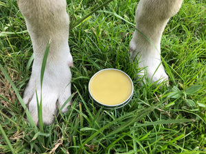 Botanical Dog Balm - Oakwood Natural Living
