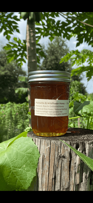 Raw Honey - Local seasonal - Oakwood Natural Living