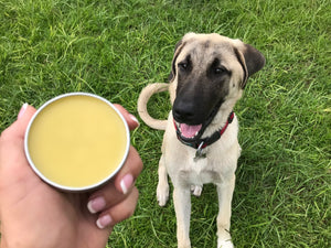 Botanical Dog Balm - Oakwood Natural Living