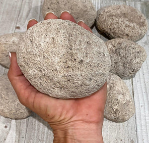 Pumice Stone - Oakwood Natural Living