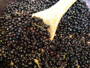 Elderberry Syrup - Oakwood Natural Living
