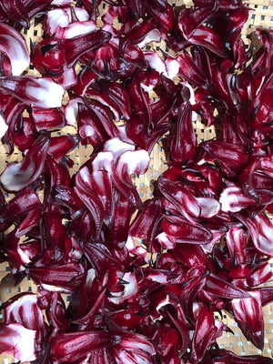 Herbal Tea - Hibiscus - Oakwood Natural Living