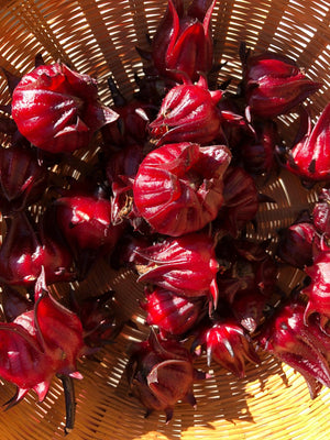 Herbal Tea - Hibiscus - Oakwood Natural Living