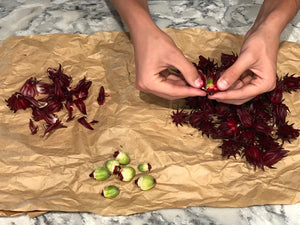 Herbal Tea - Hibiscus - Oakwood Natural Living
