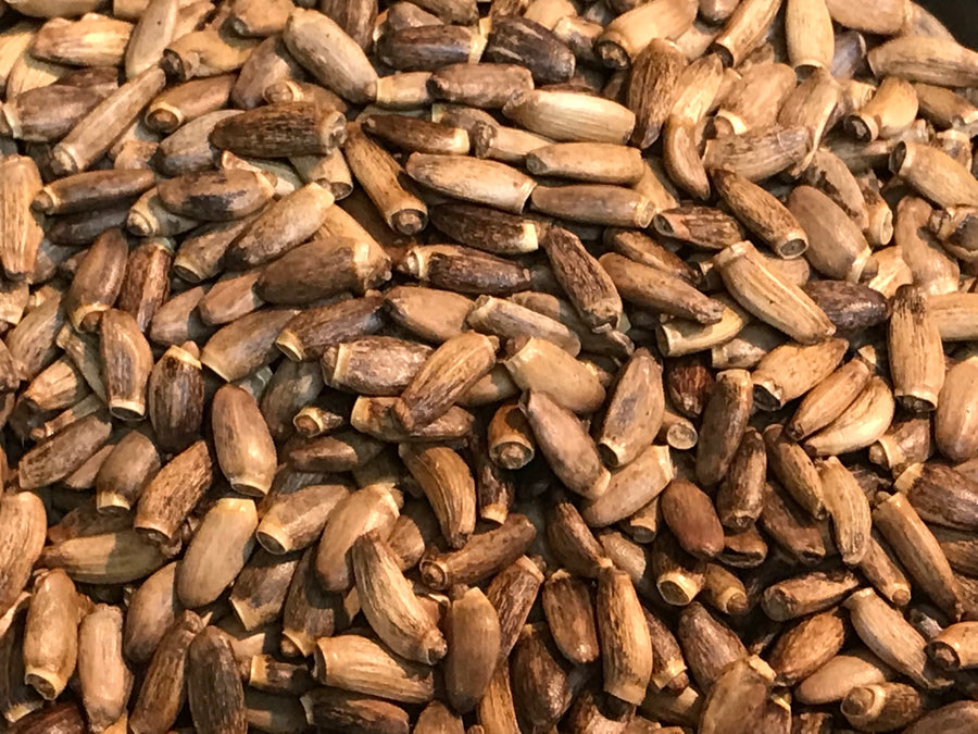 Tincture - Milk Thistle