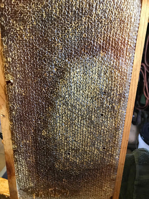 Raw Honey - Local seasonal - Oakwood Natural Living