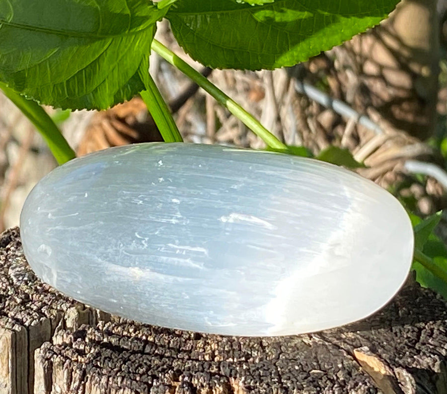 Selenite Crystal Palm Stone - Oakwood Natural Living