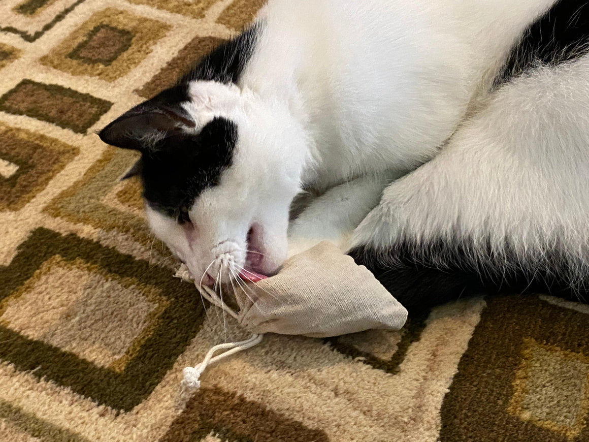 Catnip Cat Toy - Oakwood Natural Living