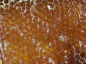 Raw Honey Face Wash - Oakwood Natural Living