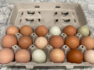 Farm Fresh Eggs - Oakwood Natural Living