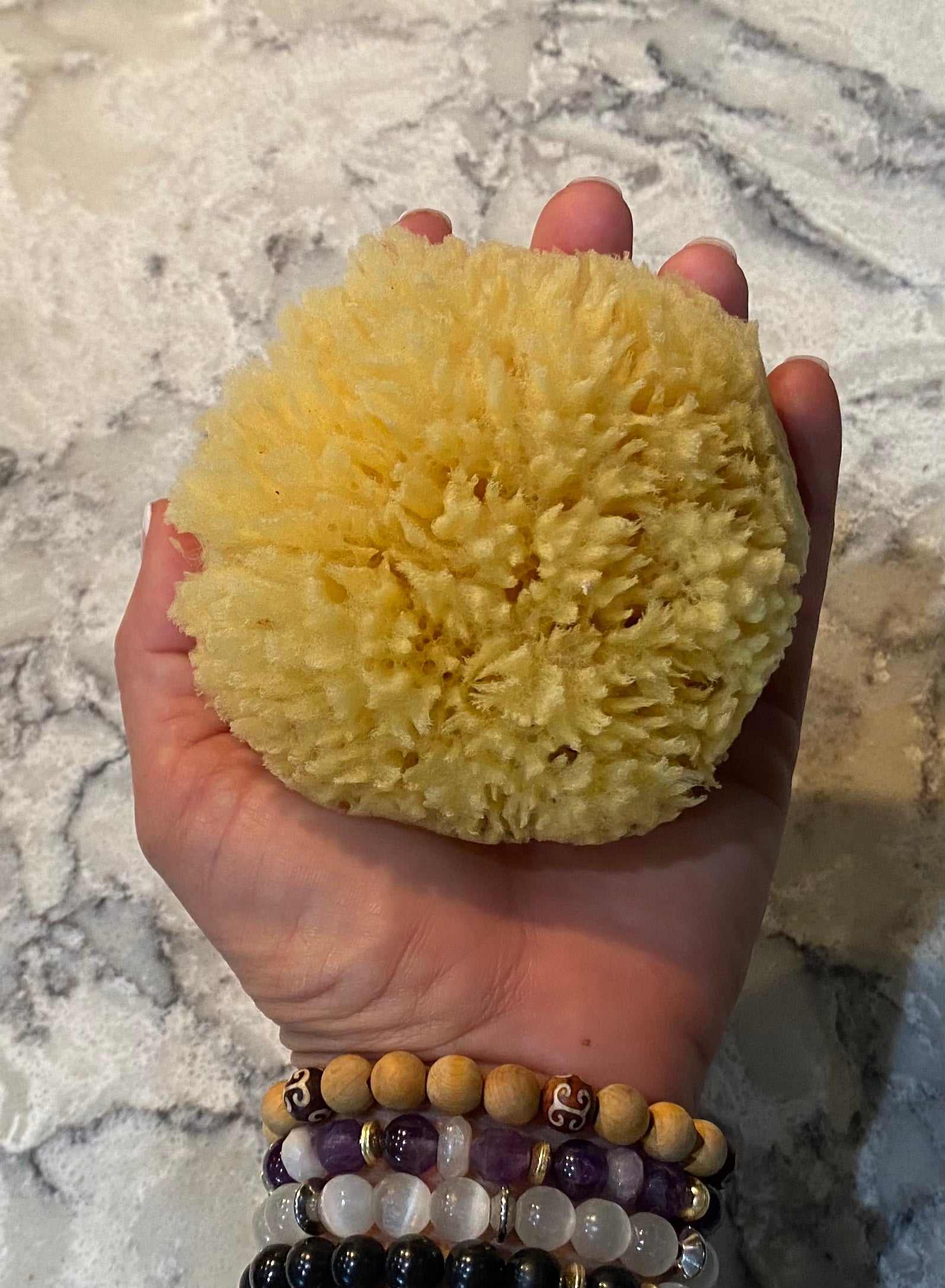 Sea Sponge for Bathing - 100% Natural - 4 (Large) - Soft Sensitive and  Eco-Friendly - Especially Suited for Adults - Natural Sponge sea sponges  for Bathing Natural sponges for Bathing